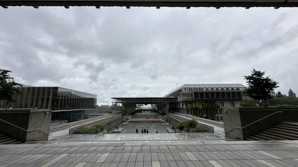 IMG 20250817 094246 | Oasis VFX